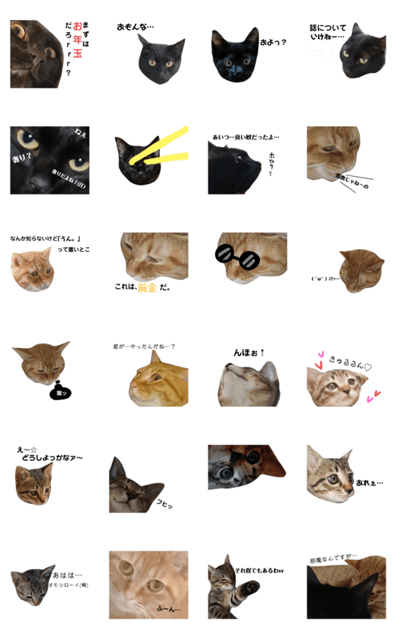 猫の顔だけのシュールすぎスタンプ第2弾」LINEクリエイターズスタンプ