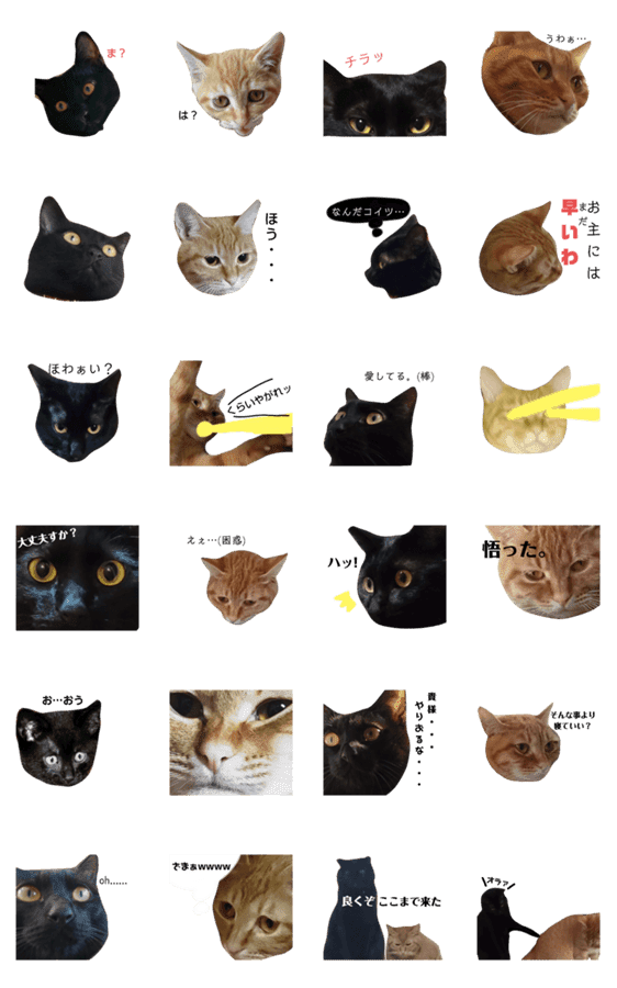 猫の顔だけのシュールすぎスタンプ Lineクリエイターズスタンプ Stamplist