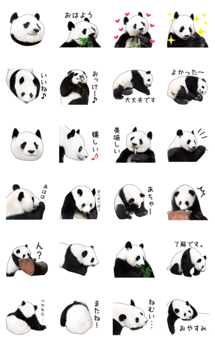 Cute Panda Photo sticker