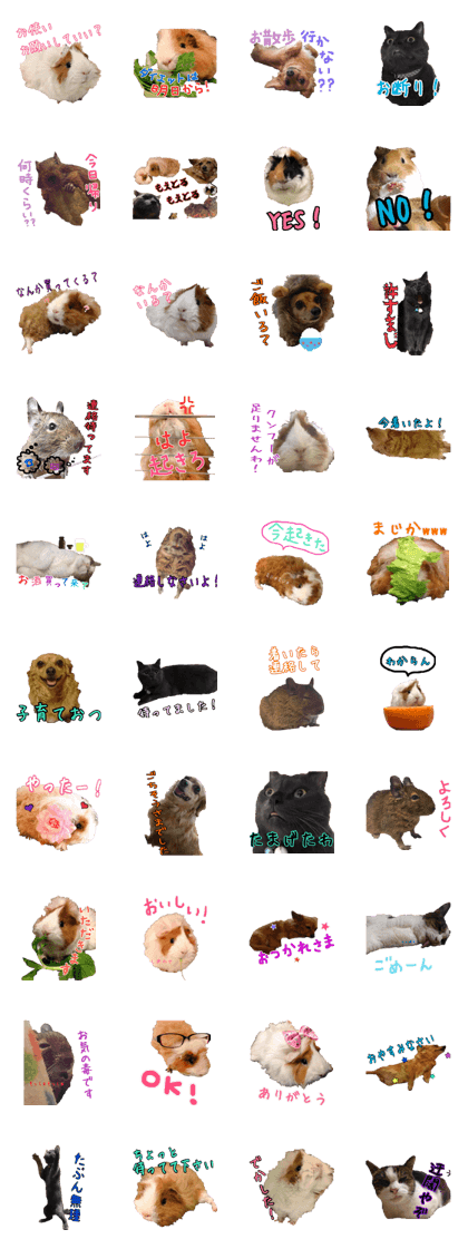 Cute animals 123