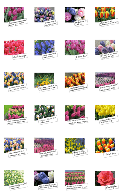 flowers with love greeting card