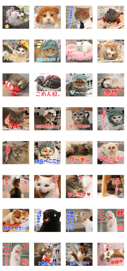Catcafe RONRON Sticker