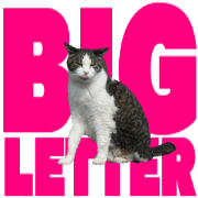 Cats In Alphabet(animation photo)