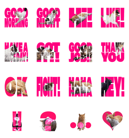 Cats In Alphabet(animation photo)