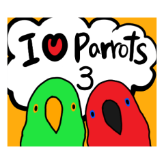 I love parrots 3