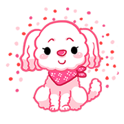 Medy Dog