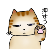 It is a clumsy cat.