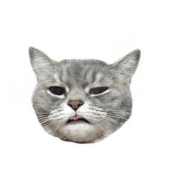 我是嘎波