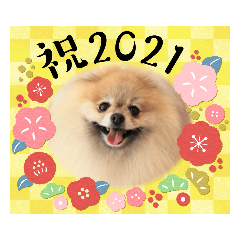 Noah's New Year sticker 2021