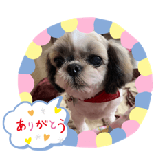 chihiro_20201202125036