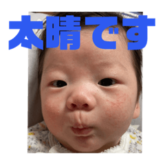 taimama_20201202124847