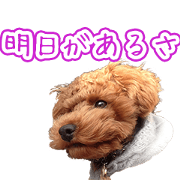 MRsama' Sticker