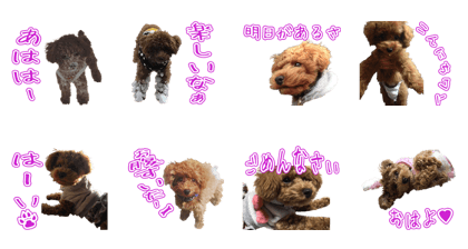 MRsama' Sticker