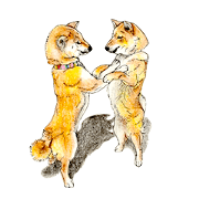 Favorite parts of SHIBAINU10