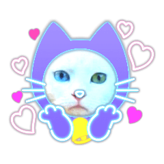 Yumecat_20201202125800