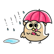 Funny Animal Oidemy2
