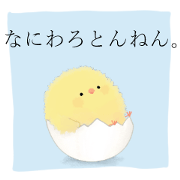 Frank Fluffy Chicks