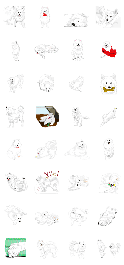 SAMOYED LOVE 2