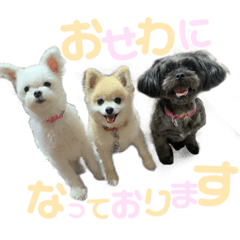 CHIHIRO_20201202150424