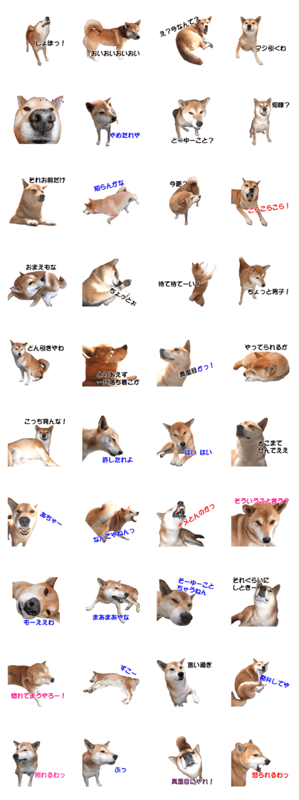 A-chan of Shibainu 8(No way!)