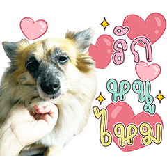 Nong Bamee