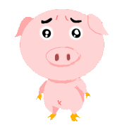 Shy pig
