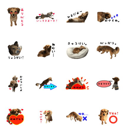 Chihuachs stickers
