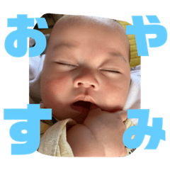 panda_20201202160600