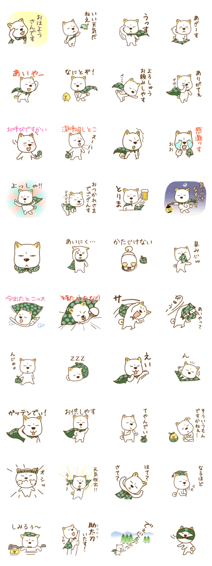 White Shiba Dog KOTARO
