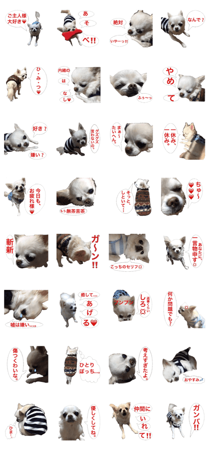 Mr.Thank you and amusing friends 5