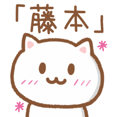Cat For FUJIMOTO