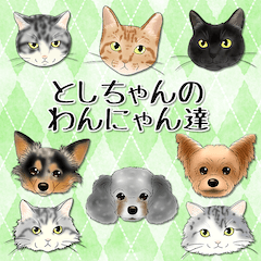 Toshi-chan's doggies