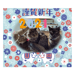 natsumi_20201202152537