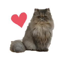 ayumi_20201203004804