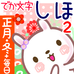 New Year & Daily Sticker for Shiho 2