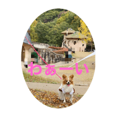 yukari_20201203082309