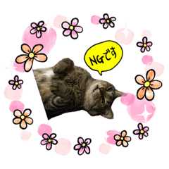 Cocoa_20201202210501