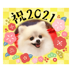 Choco New Year sticker 2021