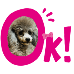 TiaCame_20201202205016