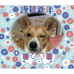 tomomi_20201203122947