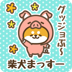 Petit Shiba Massuu (Joke Animal)