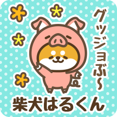 Petit Shiba Harukun (Joke Animal)