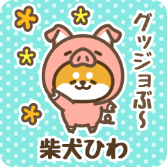 Petit Shiba Hiwa (Joke Animal)