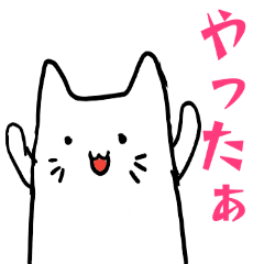 Cat in pocket