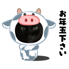 kandahal_20201203154236