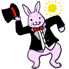 Fun everyday (Rabbit edition)