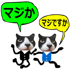 sticker japan cat&gin Photo version 8