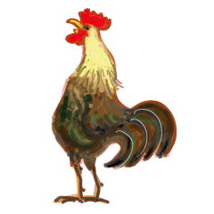 Lovely Rooster