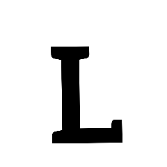 kong_20201203171024
