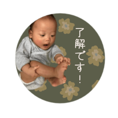 HARUKAZE__coton sticker